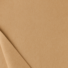 Soffio Camel Hair Scarf in Tan
